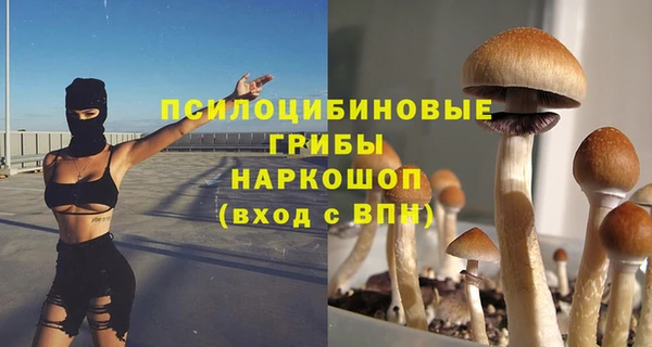 а пвп мука Лабытнанги