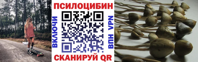 Галлюциногенные грибы GOLDEN TEACHER  Благовещенск 